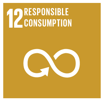 Malengo_Found_Global_Goals_Icons_r2_c6